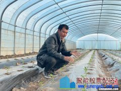 新疆英吉沙县：2.1亿株辣椒苗陆续出棚